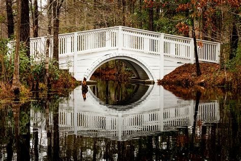 Moncks corner sc - Moncks Corner is a town with a rich history of commerce, war, and development. It offers a stunning setting of forests, lakes, and streams, and a friendly, welcoming community that …
